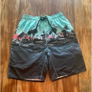 Burnside Mens Board Shorts Small Teal Black Tropical Sunset Palm Tree Swim Trunk